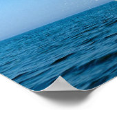 上向きにイルカを現す ポスター (角)