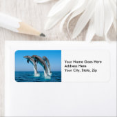 上向きにイルカを現す ラベル (インサイチュ)