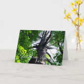 上向きに達すること カード (黄色い花)