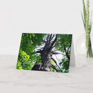 上向きに達すること カード