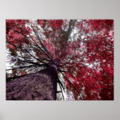 上向きバインド ポスター (正面)