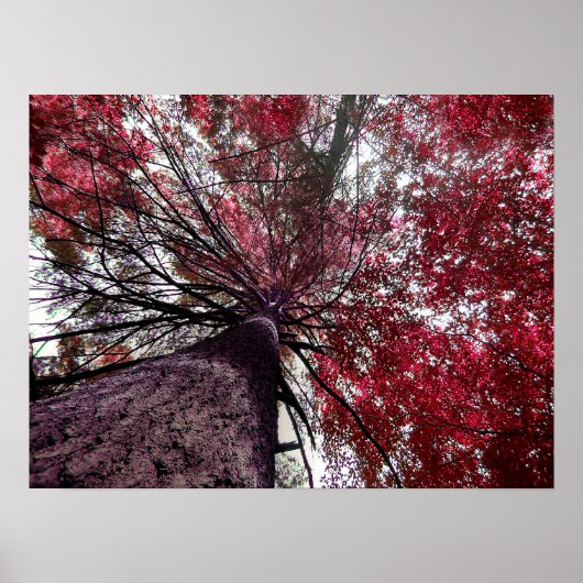 上向きバインド ポスター (正面)