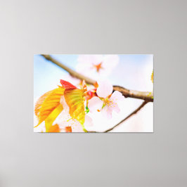 上品で愛らしい 桜の花と葉 春に キャンバスプリント