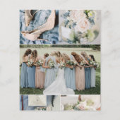 上品なほこりっぽいブルー赤面ピンク結婚ズカラーズパレット (裏面)