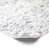 上品なクラシック ポスター (角)