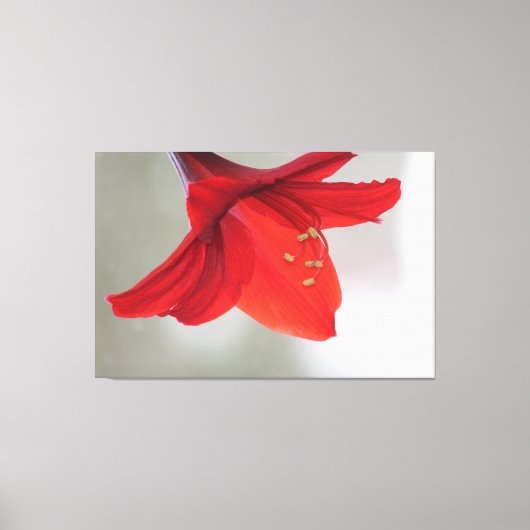 上品なフローラプリント キャンバスプリント (正面)