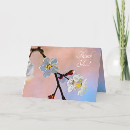 上品な白いア日本のプリコットの花 サンキューカード