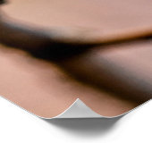 上品な白いア日本のプリコットの花 ポスター (角)