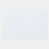 上品な離れフローラアートパターンOn Light Blue ラッピングペーパーシート (正面2)