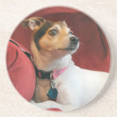 上品 コースター (正面)