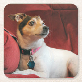 上品 スクエアペーパーコースター