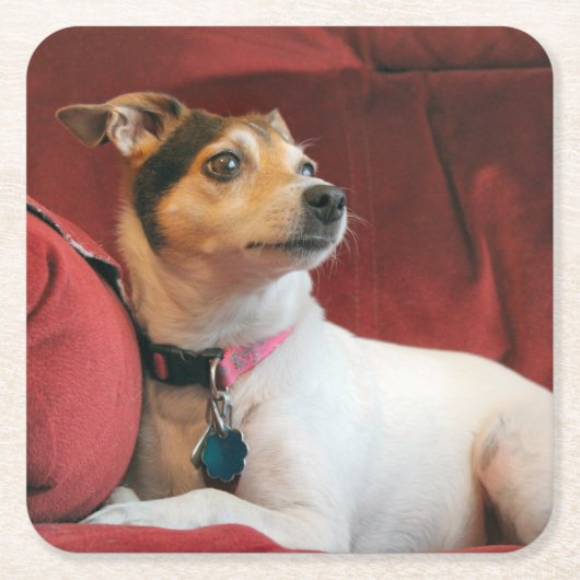 上品 スクエアペーパーコースター (正面)