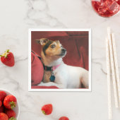 上品 スタンダードカクテルナプキン (インサイチュ)