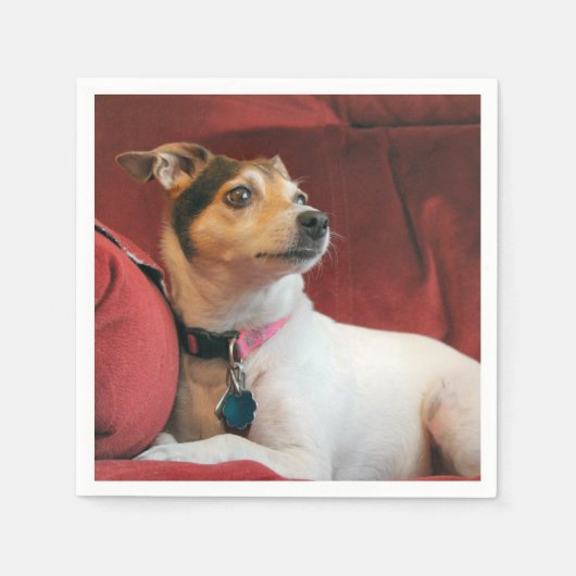 上品 スタンダードカクテルナプキン (正面)