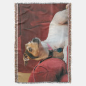 上品 スローブランケット (正面縦)