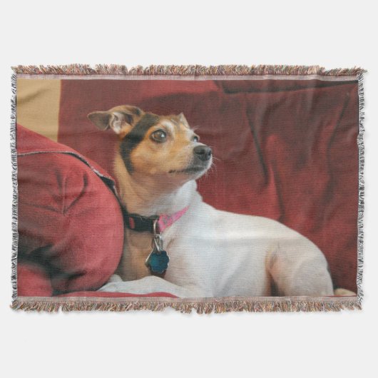 上品 スローブランケット (正面)