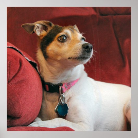 上品 ポスター (正面)