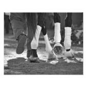 上手に歩く フォトプリント            (正面)