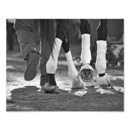 上手に歩く フォトプリント            (正面)