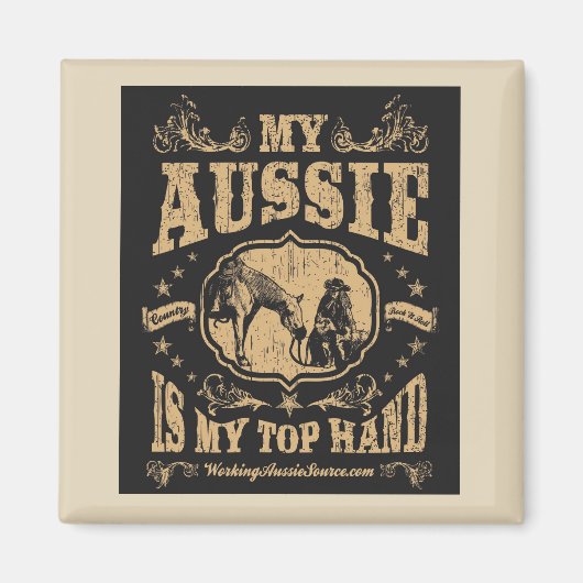 上手磁石 マグネット (正面)