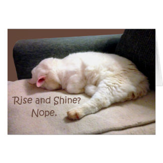 上昇および輝やきか。 Nope.