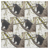 上昇のツキノワグマ ファブリック (見本)