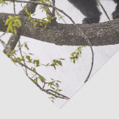 上昇のツキノワグマ 薄葉紙 (詳細)