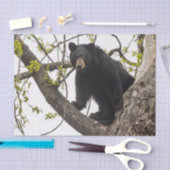 上昇のツキノワグマ 薄葉紙 (クラフト)