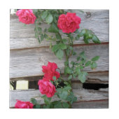 上昇のバラの茂み タイル (正面)