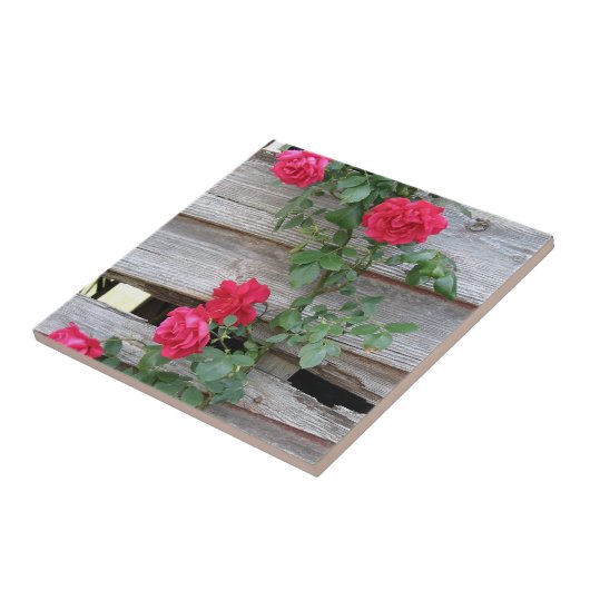 上昇のバラの茂み タイル (側面)