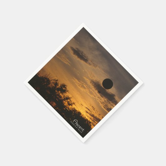 上昇 スタンダードカクテルナプキン (角)