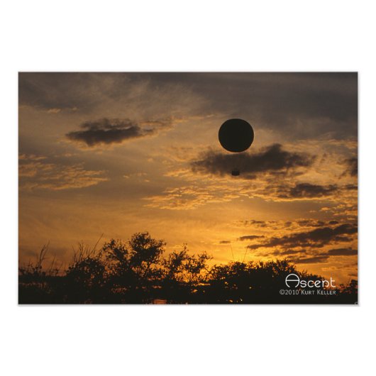 上昇 フォトプリント            (正面)