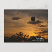 上昇 ポストカード (正面)