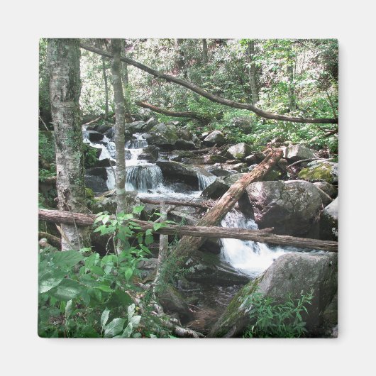 上流の マグネット (正面)