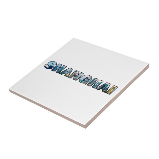 上海中国 タイル (側面)