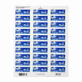 上空で高度の飛行機のコントレイル ラベル (フルシート)