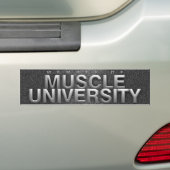 上筋肉大学 バンパーステッカー (車上)