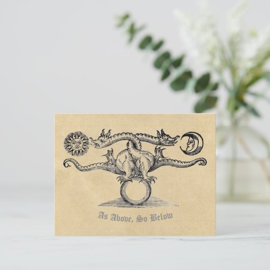 上記のように、以下のように：錬金術ドラゴン ポストカード (スタンド正面)