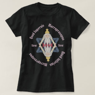 上記の通り Tシャツ