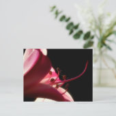 上詰めおよび個人用はがき ポストカード (スタンド正面)