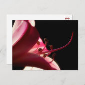 上詰めおよび個人用はがき ポストカード (正面/裏面)