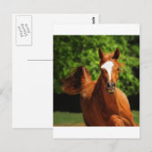 上走に ポストカード (正面/裏面)