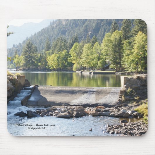 上部の対のマウスパッド マウスパッド (正面)