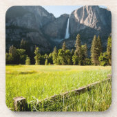 上部のYosemite Falls コースター (正面)