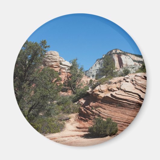 上部シオン風化砂岩マグネット マグネット (正面)