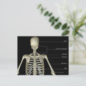 上部体の骨 ポストカード (スタンド正面)