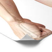 上部体ボーン2 ポスター (角)