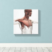 上部体前筋構造 キャンバスプリント (インサイチュ (ウッドフロア))