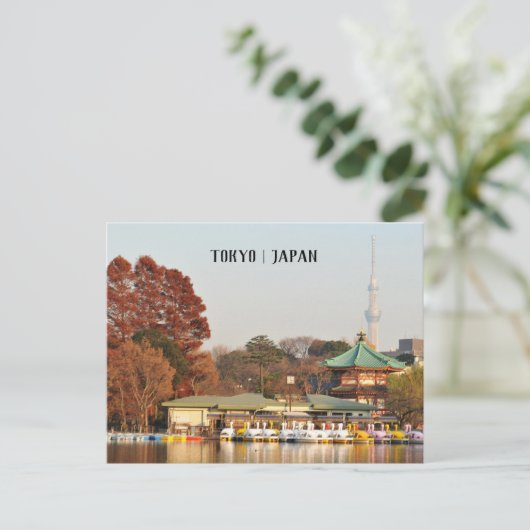 上野公園 ポストカード (スタンド正面)