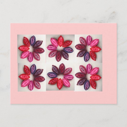 上院議員：言えない立法はしない！ ポストカード (正面)